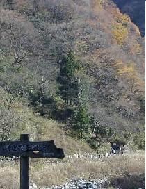 富山県＞小川温泉（天然洞窟温泉）